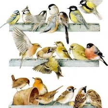 Схема вышивки «Птички»