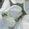 Предпросмотр схемы вышивки «Цветы в вазе» (№1698576)