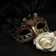 Схема вышивки «маска и роза»
