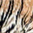 Предпросмотр схемы вышивки «Тигр (гохуа)» (№1701994)