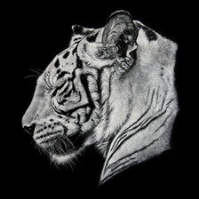 Схема вышивки «белый тигр 1»
