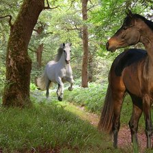 Схема вышивки «Лошади в лесу»