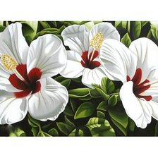 Оригинал схемы вышивки «Белые цветы» (№1710545)