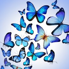 Схема вышивки «Синие бабочки»