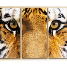 Схема вышивки «Триптих. Тигр»