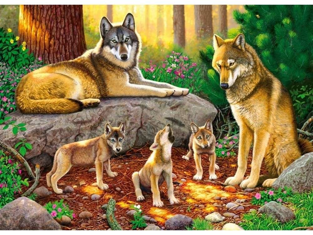 Семейство волков - животные, волки, лес, звери, волчата - оригинал