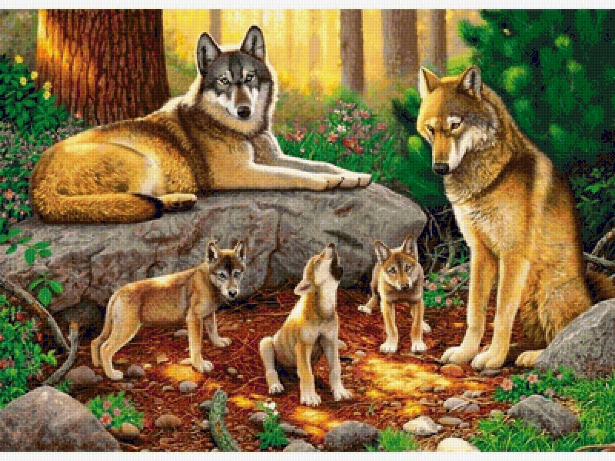 Семейство волков - звери, волки, животные, волчата, лес - предпросмотр