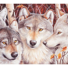 Схема вышивки «Серия "Хищники". Волки»