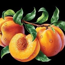 Оригинал схемы вышивки «фрукты» (№1732642)