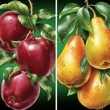Оригинал схемы вышивки «фрукты» (№1732646)