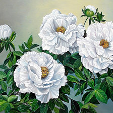 Оригинал схемы вышивки «Белые цветы» (№1738176)
