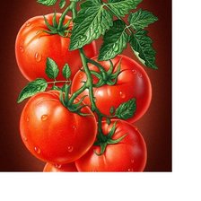 Оригинал схемы вышивки «томаты» (№1739914)