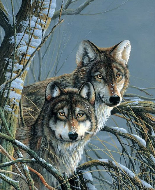 Пара волков - волки, животные, зима, звери - оригинал