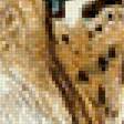 Предпросмотр схемы вышивки «Леопард» (№1743523)