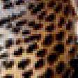 Предпросмотр схемы вышивки «Леопарды» (№1743816)