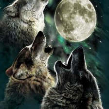 Оригинал схемы вышивки «Волки и луна» (№1744387)