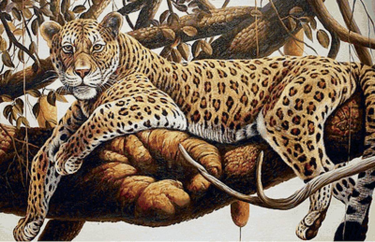 Леопард - звери, на дереве, животные - предпросмотр