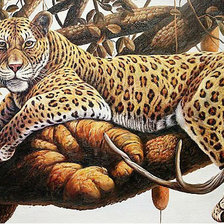 Оригинал схемы вышивки «Леопард» (№1744895)