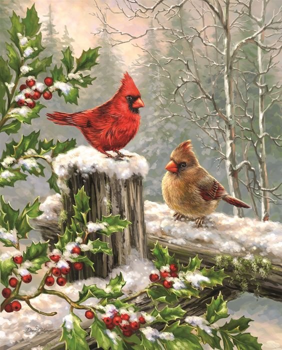 Winter cardinals - оригинал