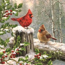 Оригинал схемы вышивки «Winter cardinals» (№1744909)