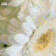 Предпросмотр схемы вышивки «Белый натюрморт» (№1745891)