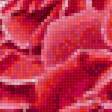 Предпросмотр схемы вышивки «Розы» (№1747404)