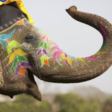Схема вышивки «Праздничный слон»