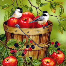 Схема вышивки «яблоки и птички»