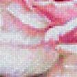 Предпросмотр схемы вышивки «Розы» (№1757839)