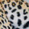 Предпросмотр схемы вышивки «Леопарды» (№1758875)