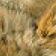 Предпросмотр схемы вышивки «Серия "Хищники". Львы. Уменьшенный вариант» (№1769981)