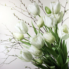 Оригинал схемы вышивки «Белые тюльпаны» (№1774378)