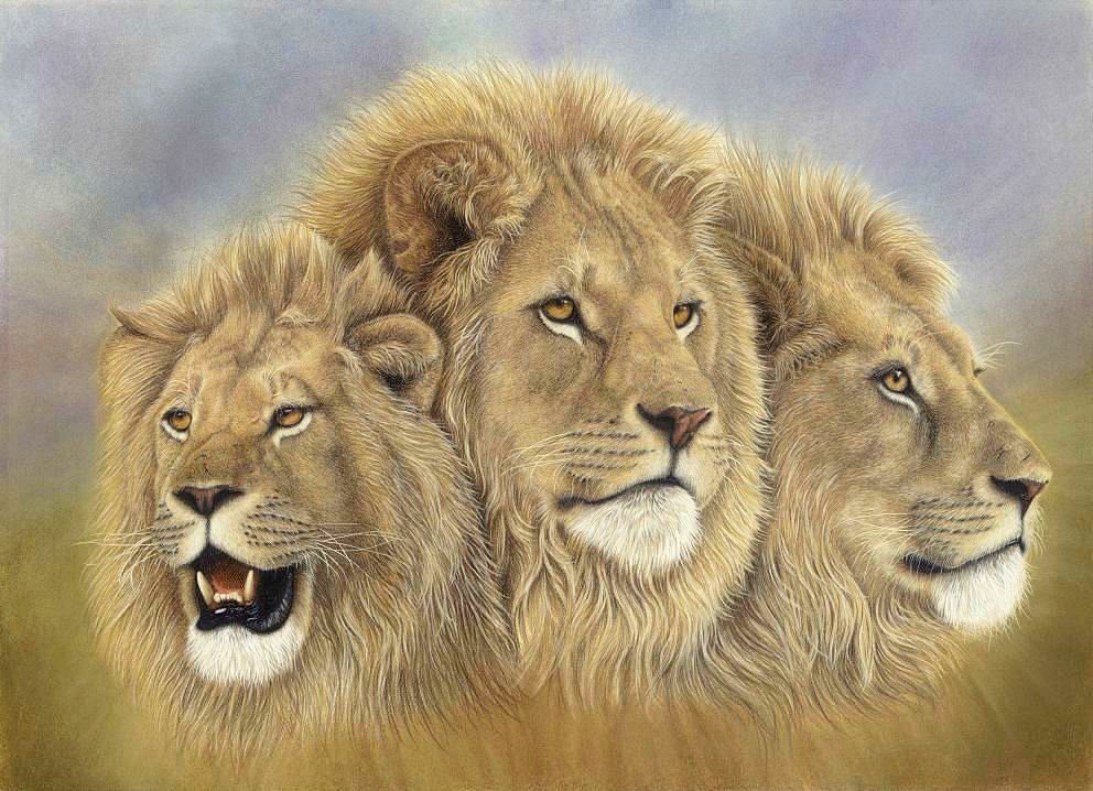 Грозное трио - хищники, животные, львы - оригинал