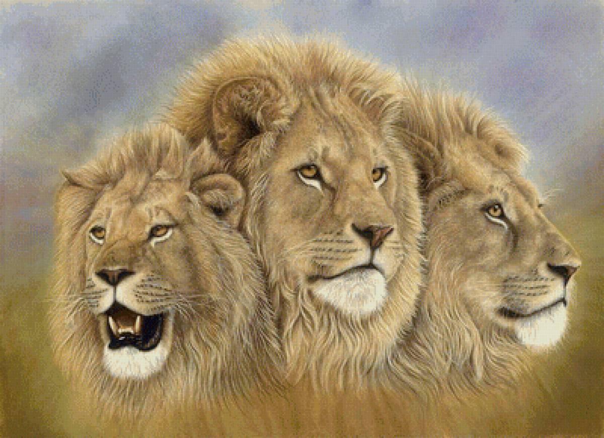Грозное трио - животные, львы, хищники - предпросмотр