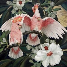 Схема вышивки «Розовые попугаи по картине Джесси Армс Ботк»