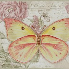 Схема вышивки «Бабочка розовая»