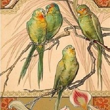Оригинал схемы вышивки «попугаи» (№1787669)