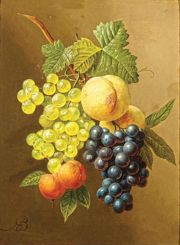 Абрикосы и виноград - виноград, абрикосы, плоды - оригинал