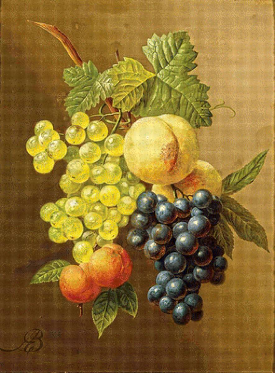 Абрикосы и виноград - плоды, виноград, абрикосы - предпросмотр
