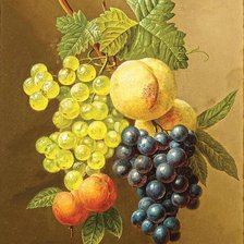 Схема вышивки «Абрикосы и виноград»