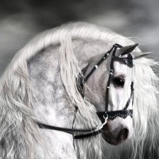 Схема вышивки «лошадка красавца»