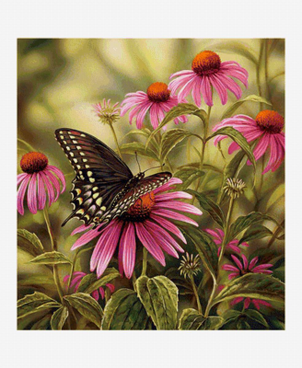 Серия "Бабочки". - флора, цветы, бабочки - предпросмотр