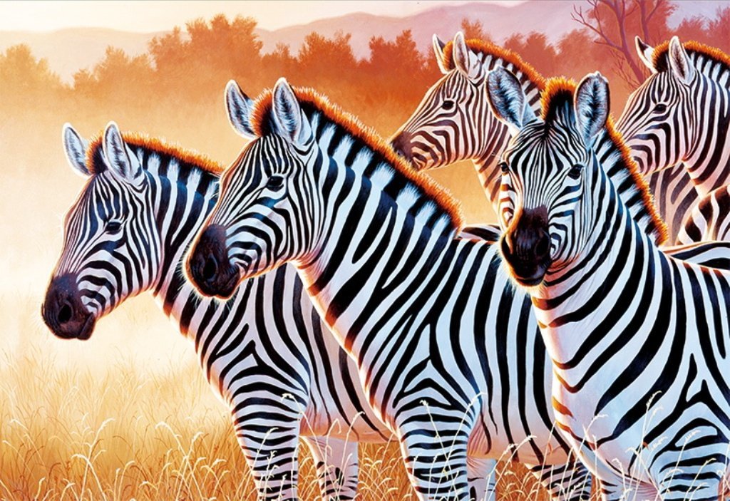 Серия "Зебры" - зебры, животные - оригинал
