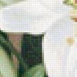 Предпросмотр схемы вышивки «Лилии» (№1802550)