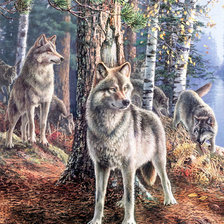 Оригинал схемы вышивки «Волки» (№1804206)