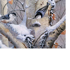 Оригинал схемы вышивки «Птицы зимой» (№1808131)