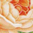 Предпросмотр схемы вышивки «Розы» (№1808628)