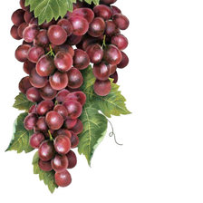 Оригинал схемы вышивки «Гроздь винограда» (№1809851)