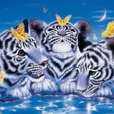 Схема вышивки «Белые тигры и бабочки»