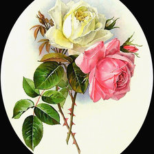 Оригинал схемы вышивки «Серия "Розы".» (№1817015)